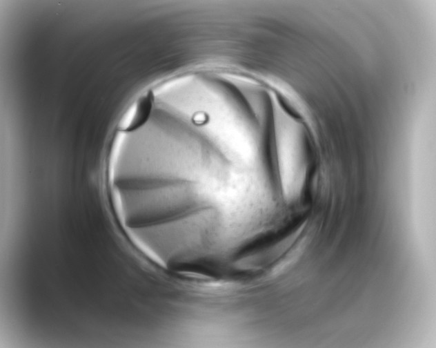 X0000088721390200706212013