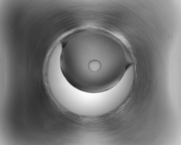 X0000088721392200706212013