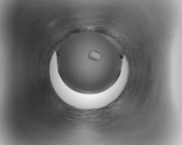 X0000088721394200706212012