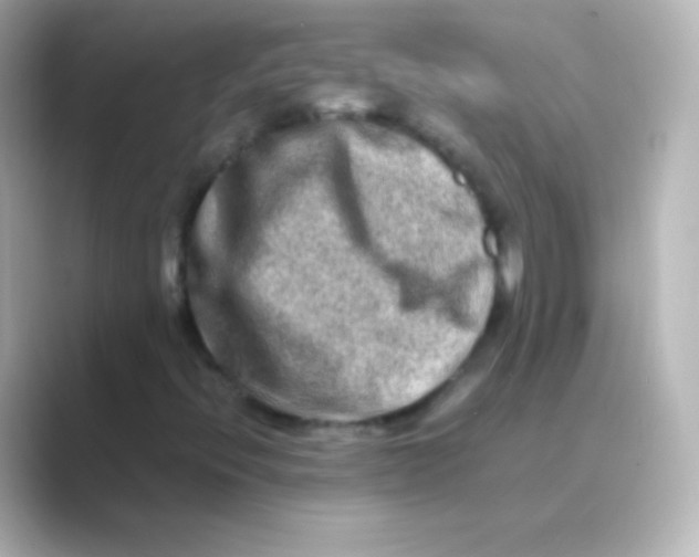 X0000088721396200706212012