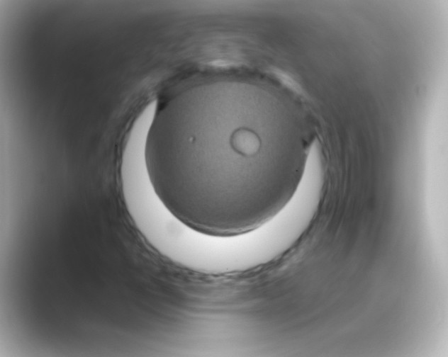 X0000088721398200706212012