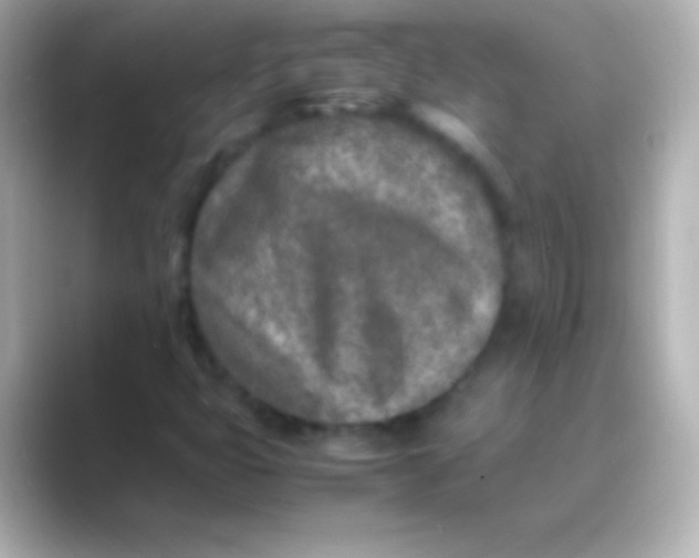 X0000088721399200706212012