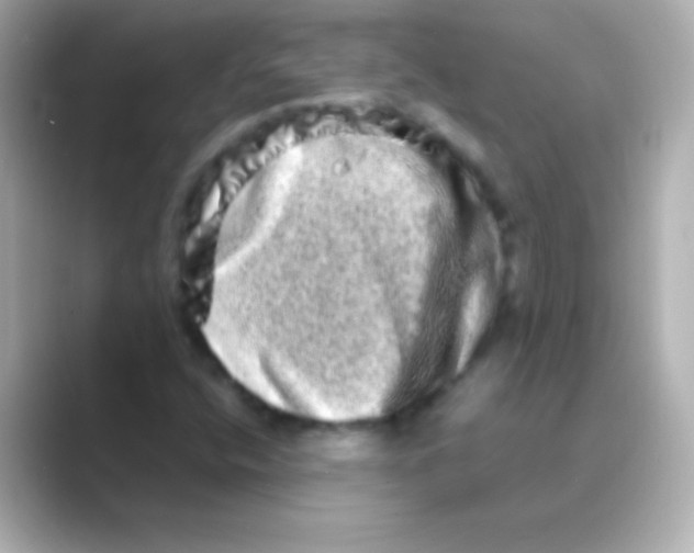 X0000088721400200706212012