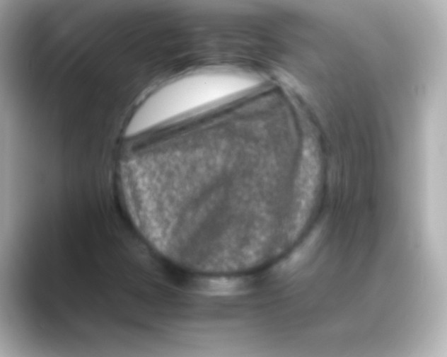 X0000088721401200706212012