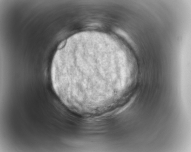 X0000088721403200706212012