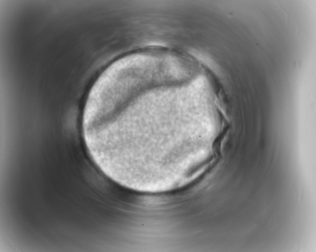 X0000088721404200706212012