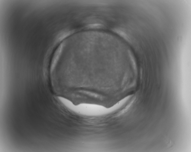 X0000088721405200706212012