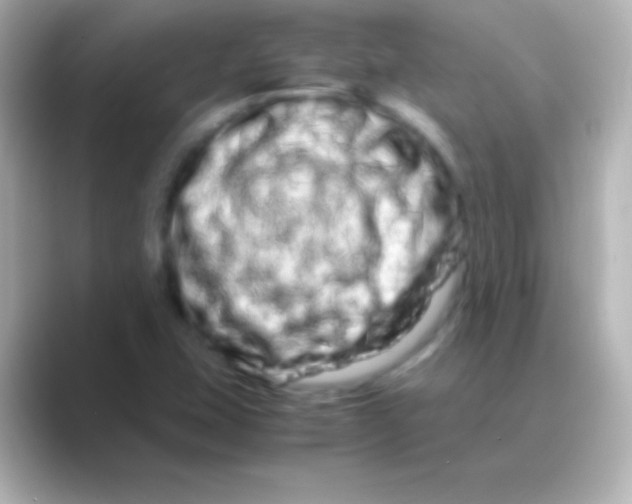 X0000088721407200706212012