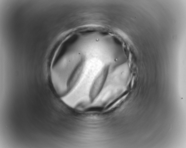 X0000088721408200706212012