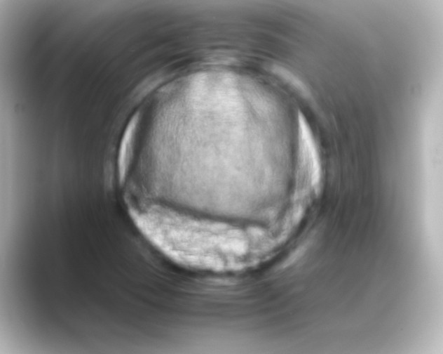 X0000088721409200706212012