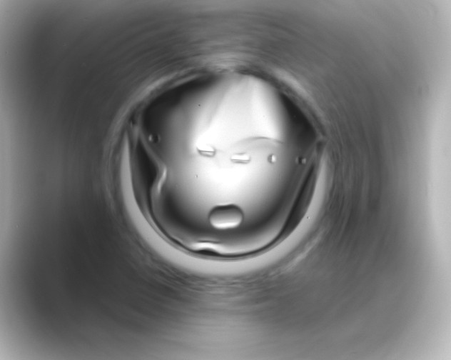 X0000088721410200706212012