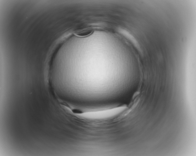 X0000088721411200706212012