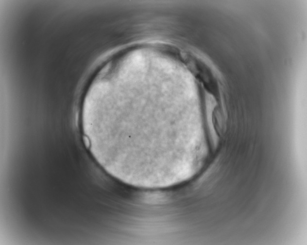 X0000088721416200706212012