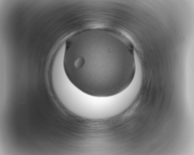 X0000088721418200706212012