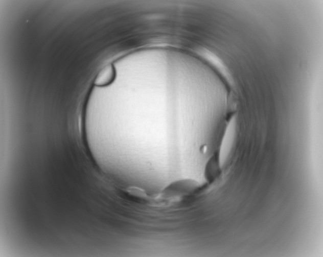 X0000088721419200706212012