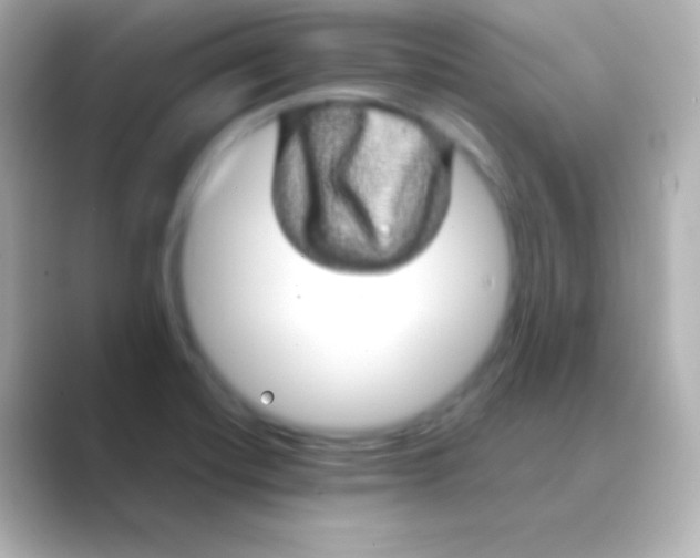 X0000088721420200706212012