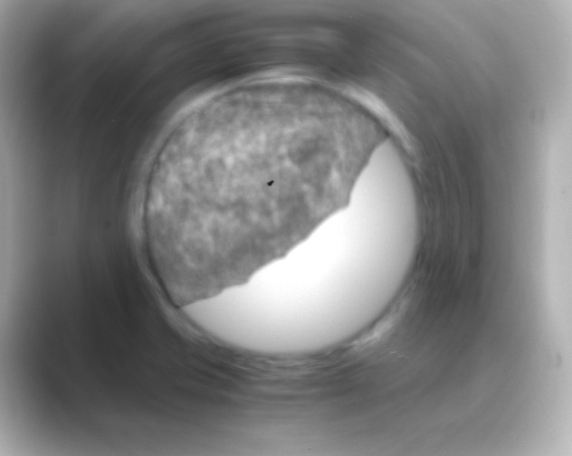 X0000088721421200706212012