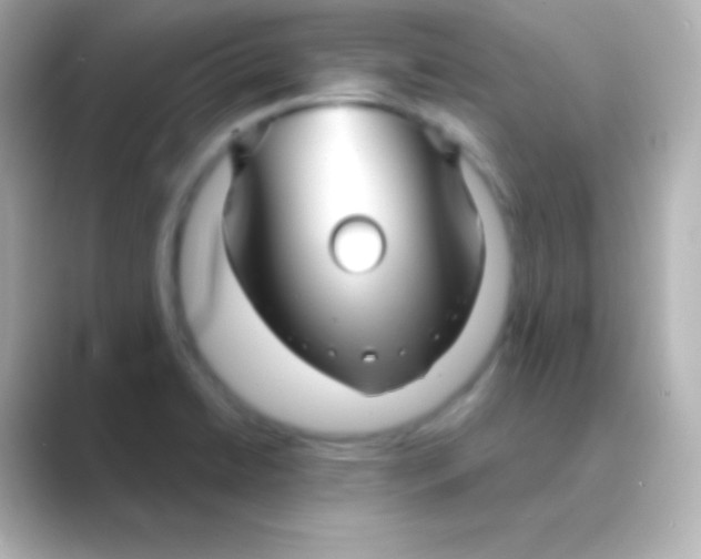 X0000088721422200706212012