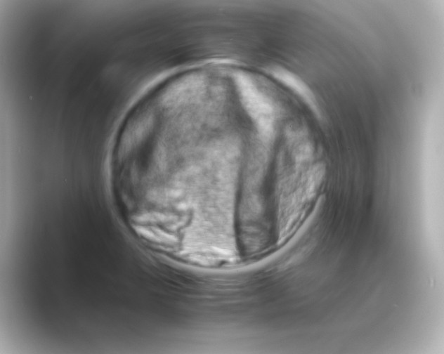 X0000088721423200706212012