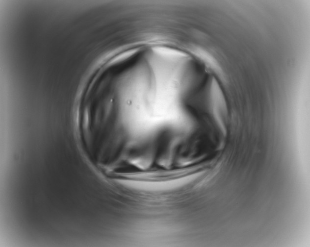 X0000088721424200706212012