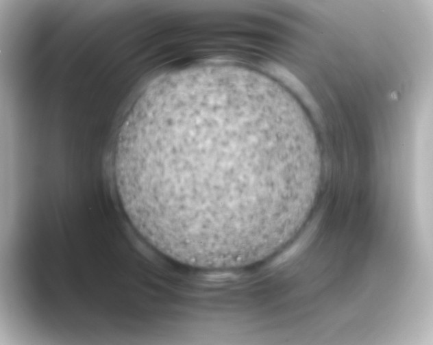 X0000088721425200706212012