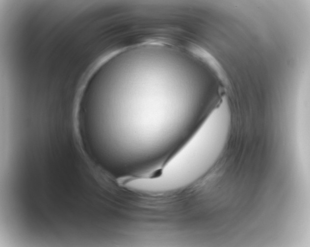 X0000088721427200706212012