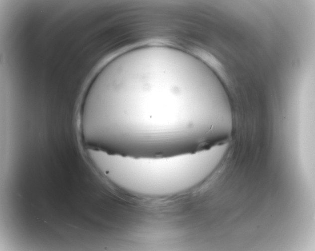 X0000088721428200706212012