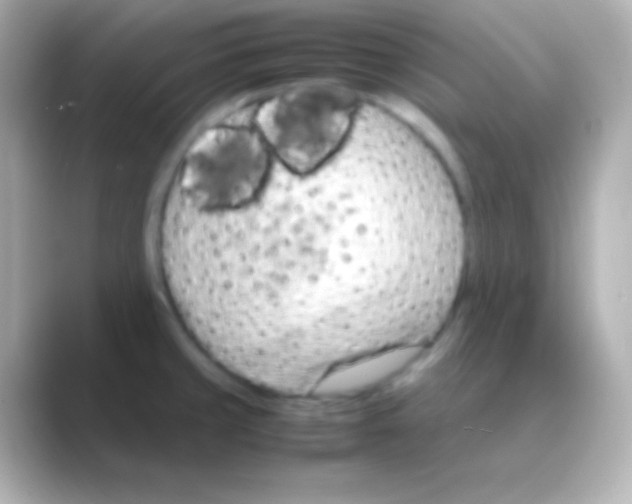 X0000088721429200706212013