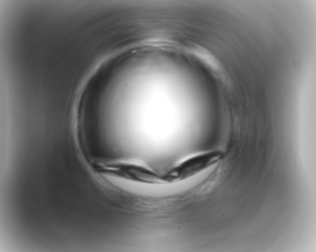 X0000088721430200706212013