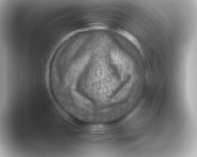 X0000088721431200706212013