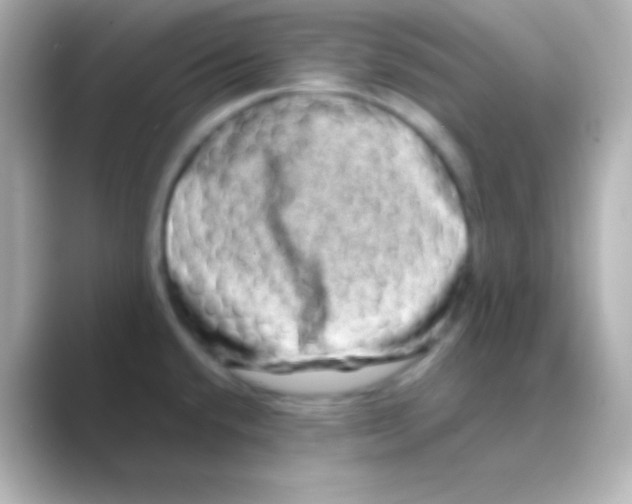 X0000088721432200706212013