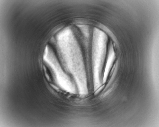 X0000088721433200706212013