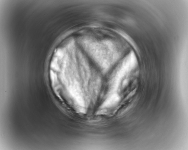 X0000088721437200706212013