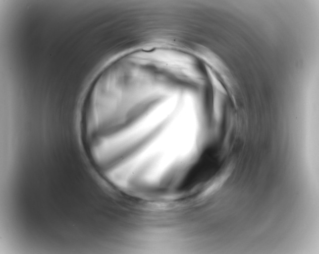 X0000088721438200706212013