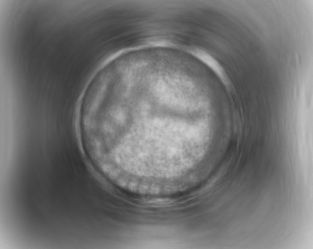 X0000088721439200706212013