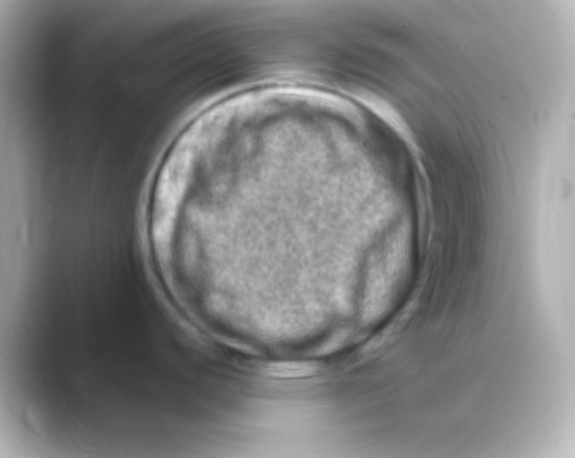 X0000088721440200706212013