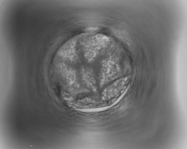 X0000088721441200706212012