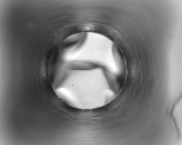 X0000088721442200706212012