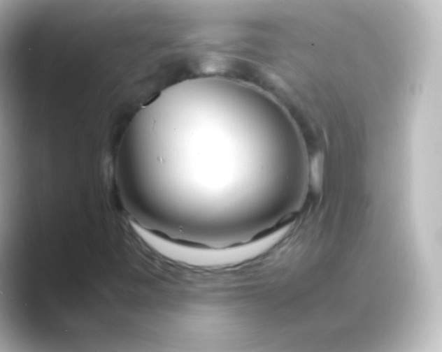 X0000088721443200706212012