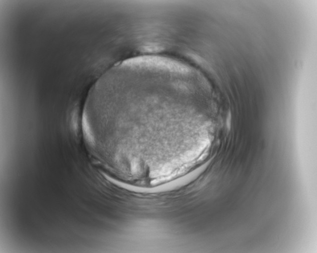 X0000088721444200706212012