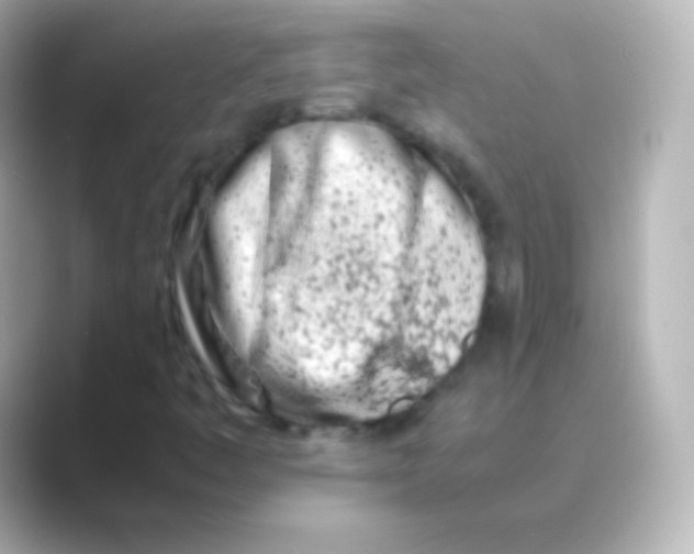 X0000088721445200706212012