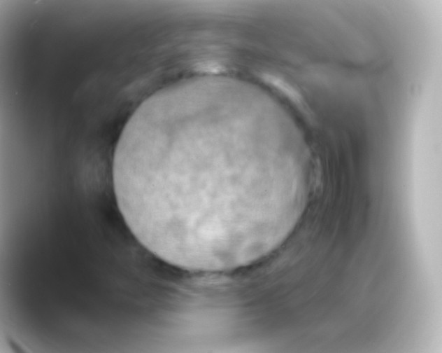 X0000088721446200706212012