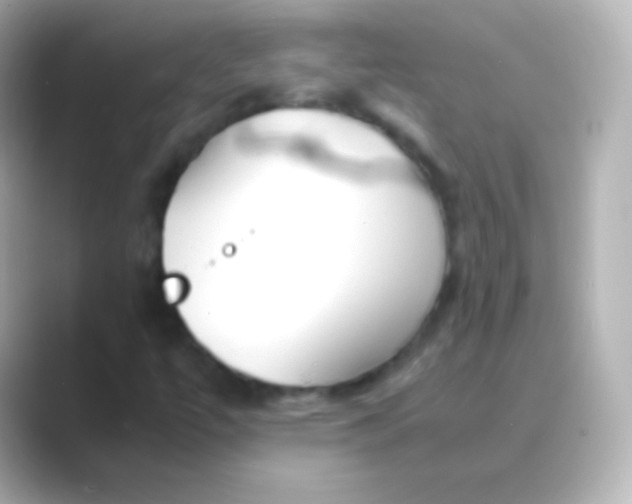 X0000088721447200706212012