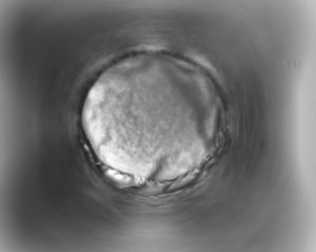 X0000088721448200706212012