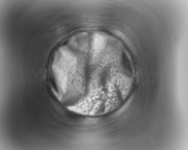 X0000088721449200706212012