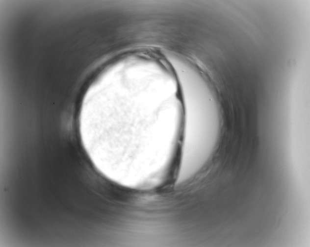 X0000088721452200706212012