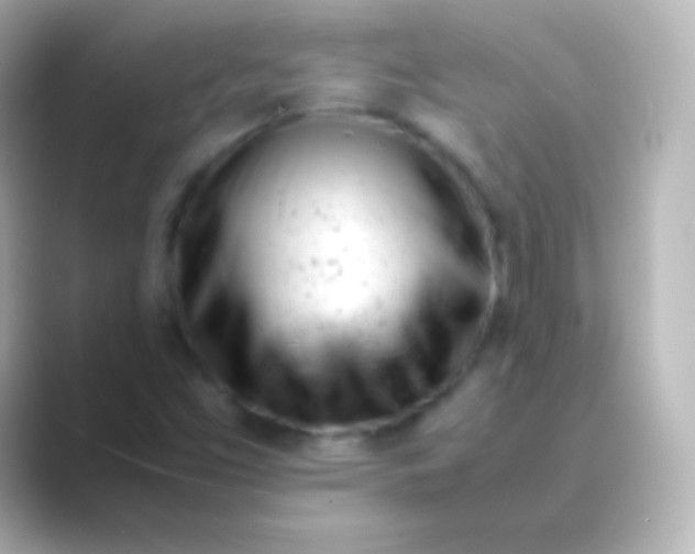 X0000088721453200706212012