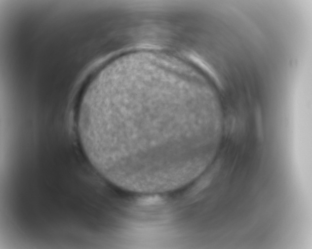 X0000088721454200706212012