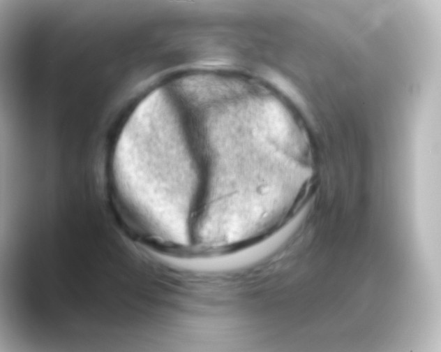 X0000088721456200706212012