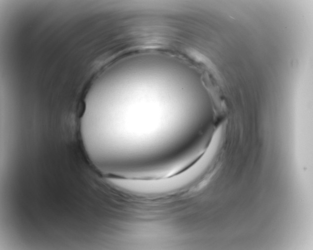 X0000088721457200706212012